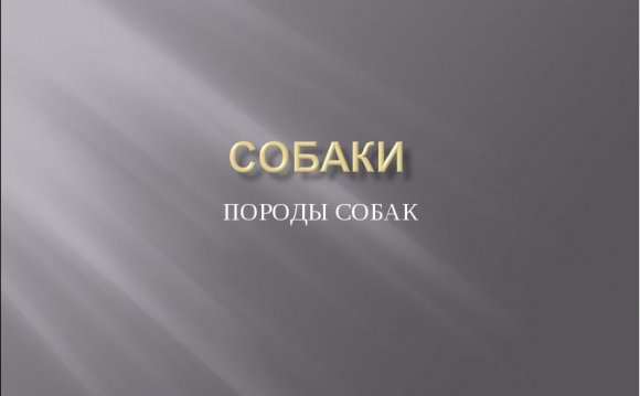 Порода служебных собак