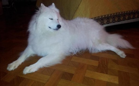 Фотографии из