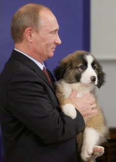 Путин и каракачанская собака Баффи