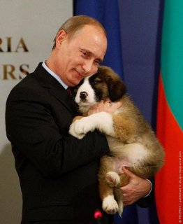 Путину подарили собаку. фото