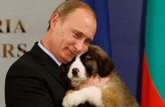 Собаки Путина: Баффи Собаки Путина: Баффи