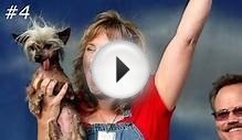 12 САМЫХ СТРАШНЕНЬКИХ СОБАК В МИРЕ