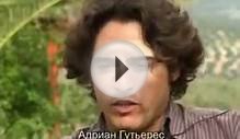 Аланские боевые собаки,самые