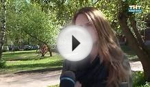 Билборды с собаками