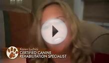 Боксер. Породы собак. Dog breeds, funny