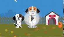 Dog with a Blog Care - Уход Собака точка ком