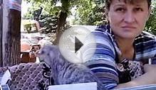 Доставим щенка любой породы в