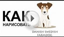 Картинки собаки. КАК поэтапно