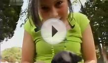 Мопс (Pug). Породы собак (Dog Breeds)