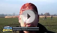 Обзор собак гончих пород. Ивано