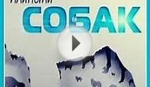 Планета собак