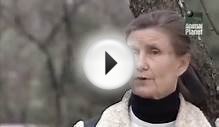 Породы собак. Шнауцер