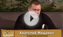 Просто собака // Джек рассел