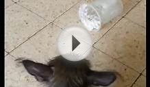 Самая ужасная банка в МИРЕ