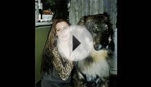 САМЫЕ БОЛЬШЫЕ СОБАКИ В МИРЕ - ТОП 10