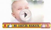Самые "маленькие" собаки