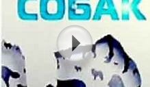 Шоу Планета собак смотреть