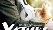 Смотреть фильм «Хатико: Самый