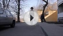 Собака-компаньон