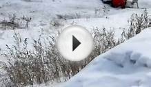 собака-снегоход