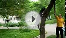 Собаки видео - стафф