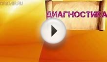 Стафилококк у собак | Симптомы