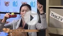TEST.TV Всё или почти всё о Чихуахуа)