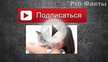 Топ 10 Самые маленькие породы