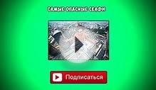 ТОП-10 САМЫХ УМНЫХ ПОРОД СОБАК В