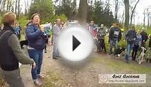 Выставка охотничьих собак в
